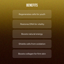 NAD+ LONGEVITY PATCHES